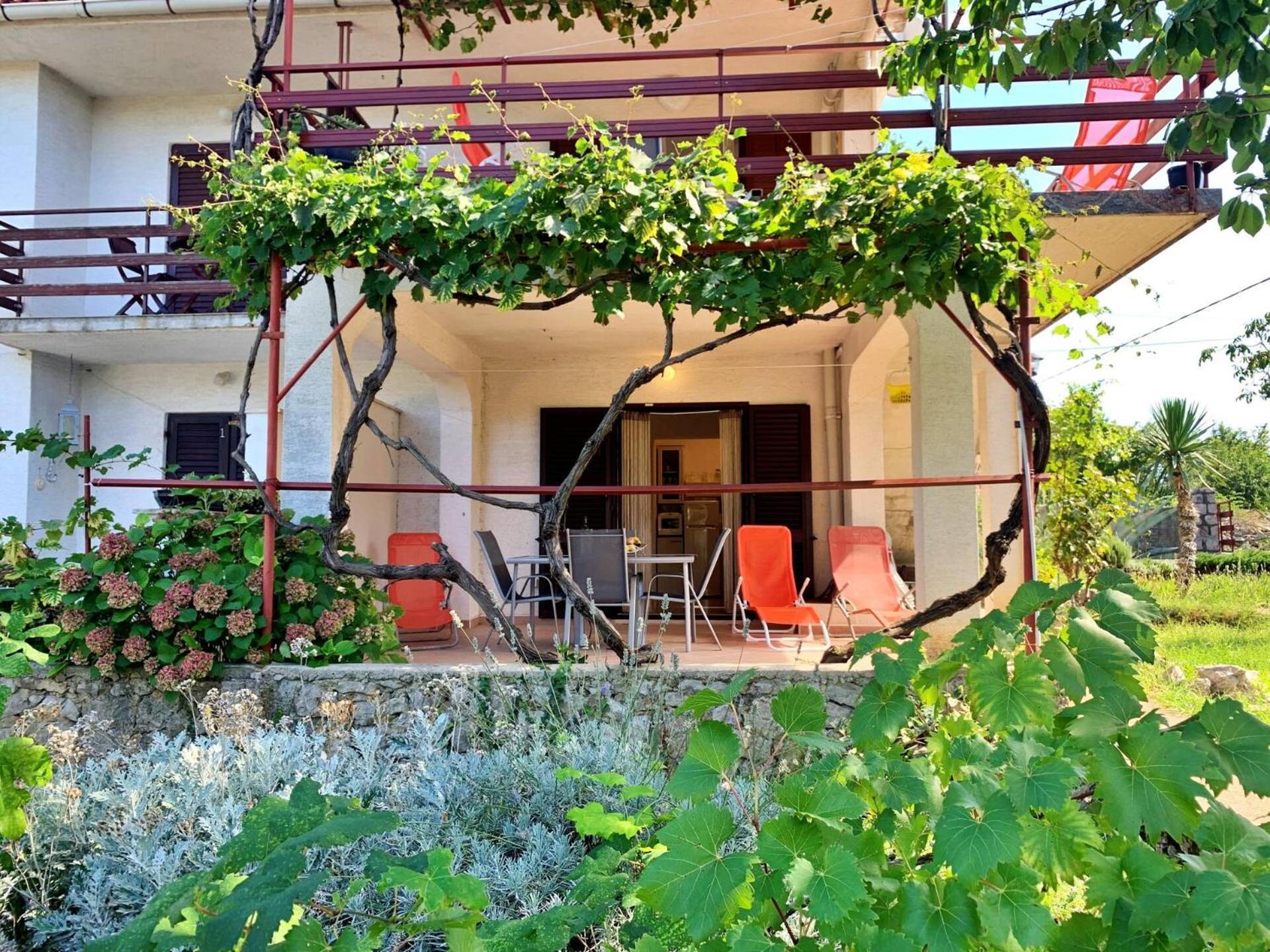 Apartments Viola Šilo Buitenkant foto